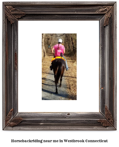 horseback riding near me in Westbrook, Connecticut